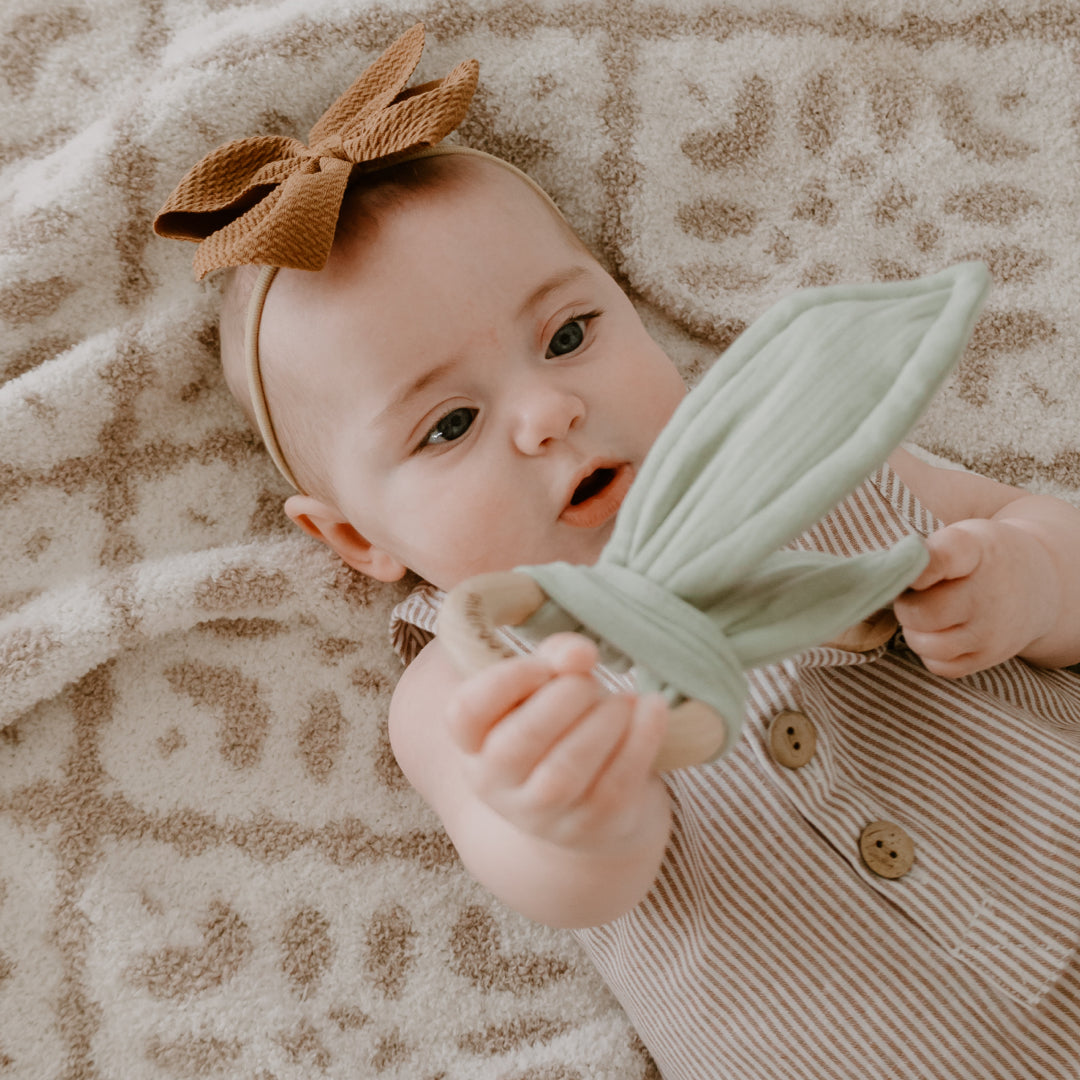 Teetheroo Crinkle Toy