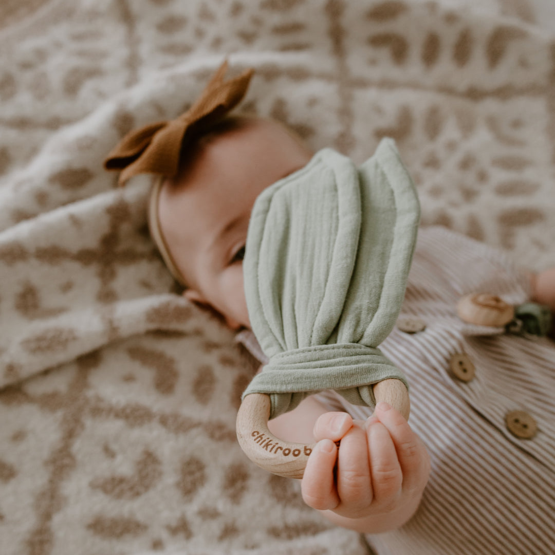 Sage Green Teetheroo Crinkle Toy With Matching Clip Gift Set